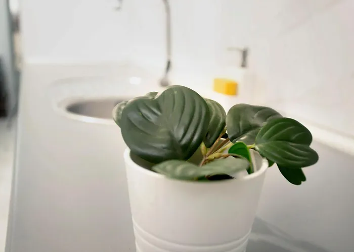 Un Descanso 2-1 Nyaraló Maspalomas