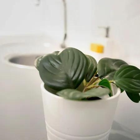 Un Descanso 2-1 בית נופש מספאלומס